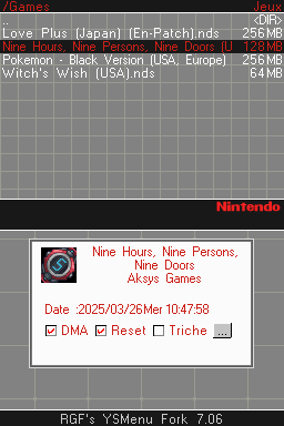 Nes DS Like